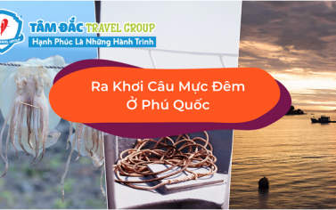 Câu mực đêm ở Phú Quốc – trải nghiệm không thể bỏ qua tại đảo ngọc