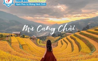 Mùa lúa chín Mù Cang Chải – vẻ đẹp mê hồn của những thửa ruộng bậc thang