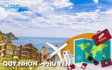 QUY NHƠN ~ PHÚ YÊN - TÔI THẤY HOA VÀNG TRÊN CỎ XANH!