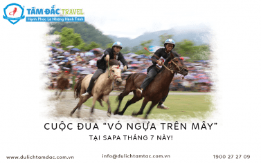 THÁNG 7 NÀY, THAM DỰ GIẢI ĐUA NGỰA