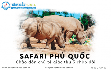 VINPEARL SAFARI PHÚ QUỐC CHÀO ĐÓN TÊ GIÁC THỨ 3 CHÀO ĐỜI