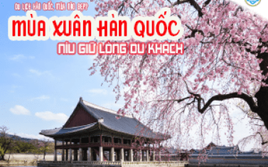 DU LỊCH HÀN QUỐC MÙA NÀO ĐẸP? – PHẦN 1: MÙA XUÂN HÀN QUỐC