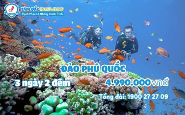 Tour du lịch Phú Quốc 3 ngày 2 đêm chất lượng giá rẻ