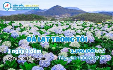 Tour du lịch Đà Lạt 3 ngày 3 đêm giá rẻ chất lượng