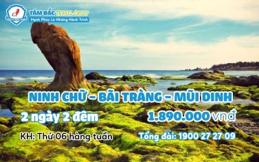 TOUR DU LỊCH NINH CHỮ - BÃI TRÀNG - MŨI DINH 2 NGÀY 2 ĐÊM