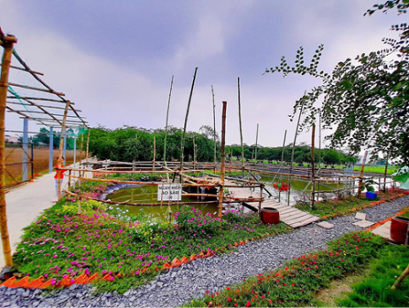 NGÀY 1: TP. HỒ CHÍ MINH – MÁI ẤM AN LẠC – LĂNG HOÀNG GIA – NHÀ ĐỐC PHÚ HẢI – VƯỜN TRÁI CÂY – CÀO NGHÊU (Ăn Sáng, Trưa)