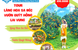 Tour Làng Hoa Sa Đéc -  Quýt Hồng Lai Vung - Chùa Lá Sen